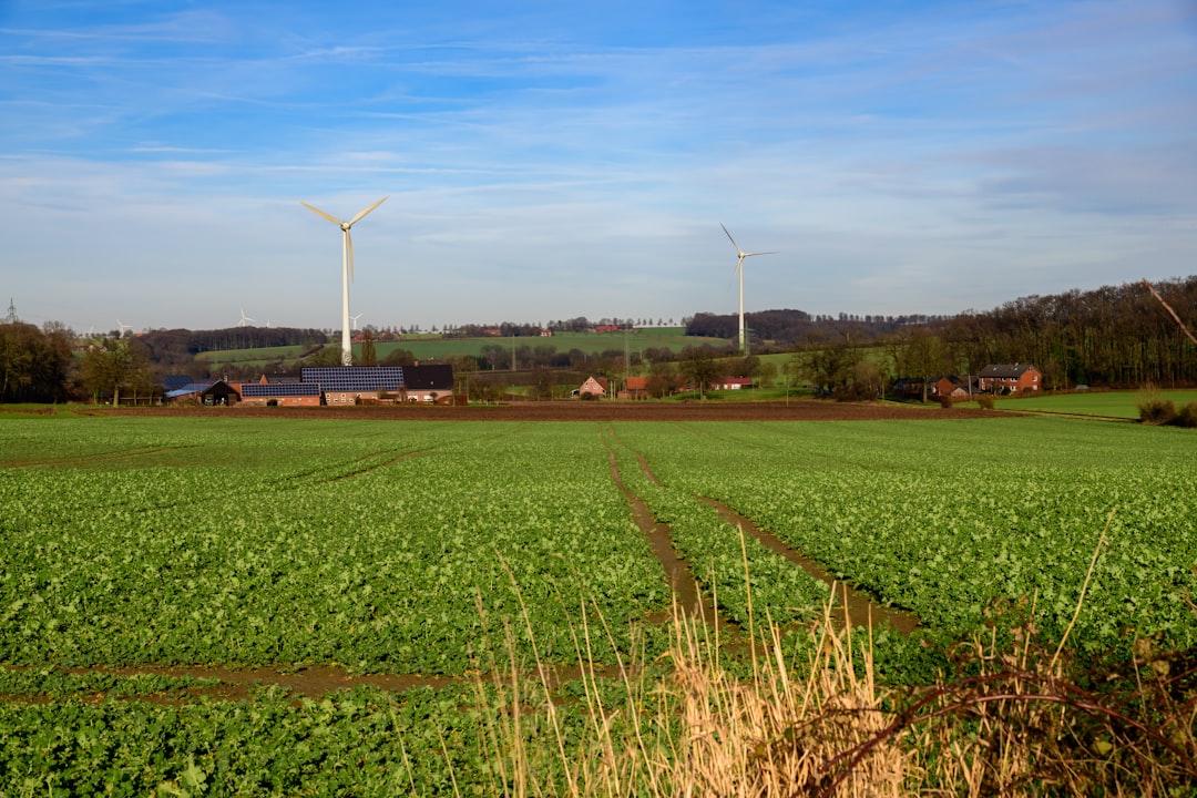 Energikilder: Veien til Bærekraftig Fremtid